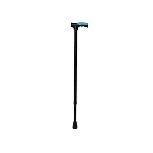 Walking Stick